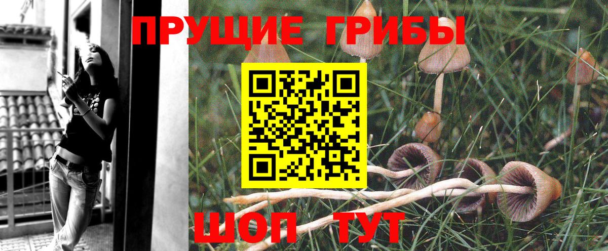Псилоцибиновые грибы мухоморы Орск